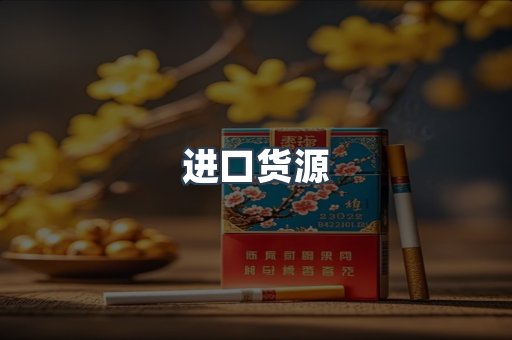 进口货源